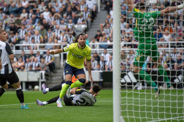 全球有超过 全球有超过