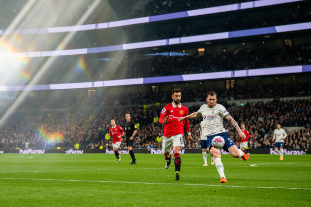 增添了许多 增添了许多